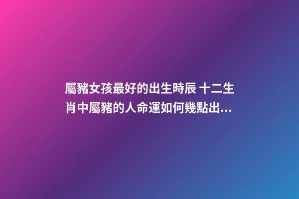 屬豬女孩最好的出生時辰 十二生肖中屬豬的人命運如何幾點出生最好-第1張-觀點-玄機派